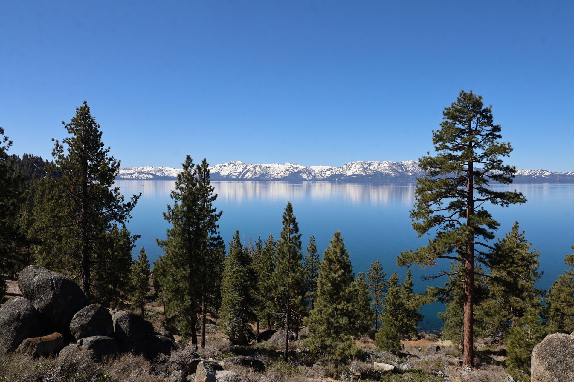 Snowy mountains across a blue lake, framed by pine trees and rocky shoreline under a clear sky