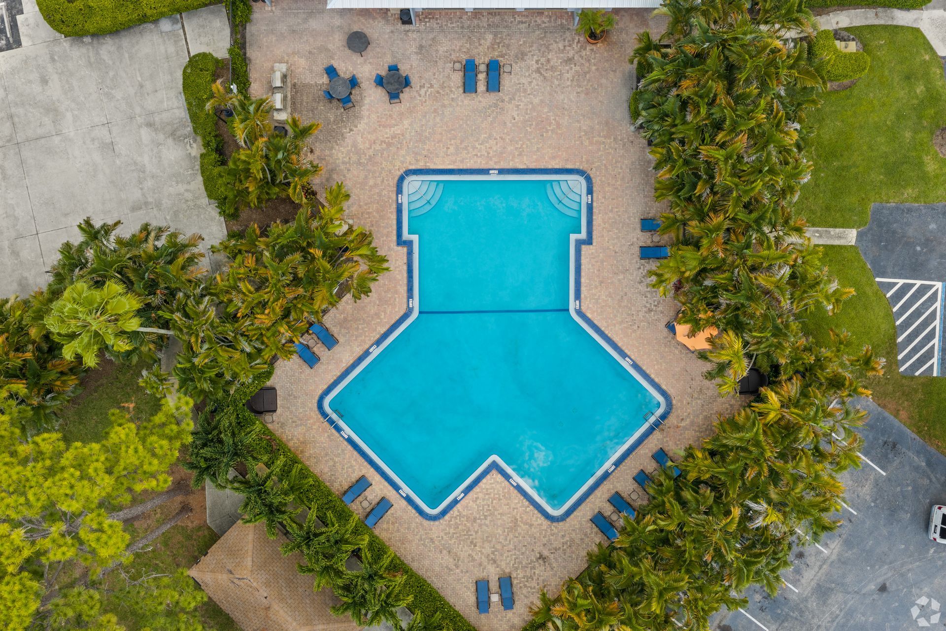 Aerial view of a blue swimming pool surrounded by patio, lounge chairs, and trees at 4120 at Palm Beach Gardens Apartments in FL