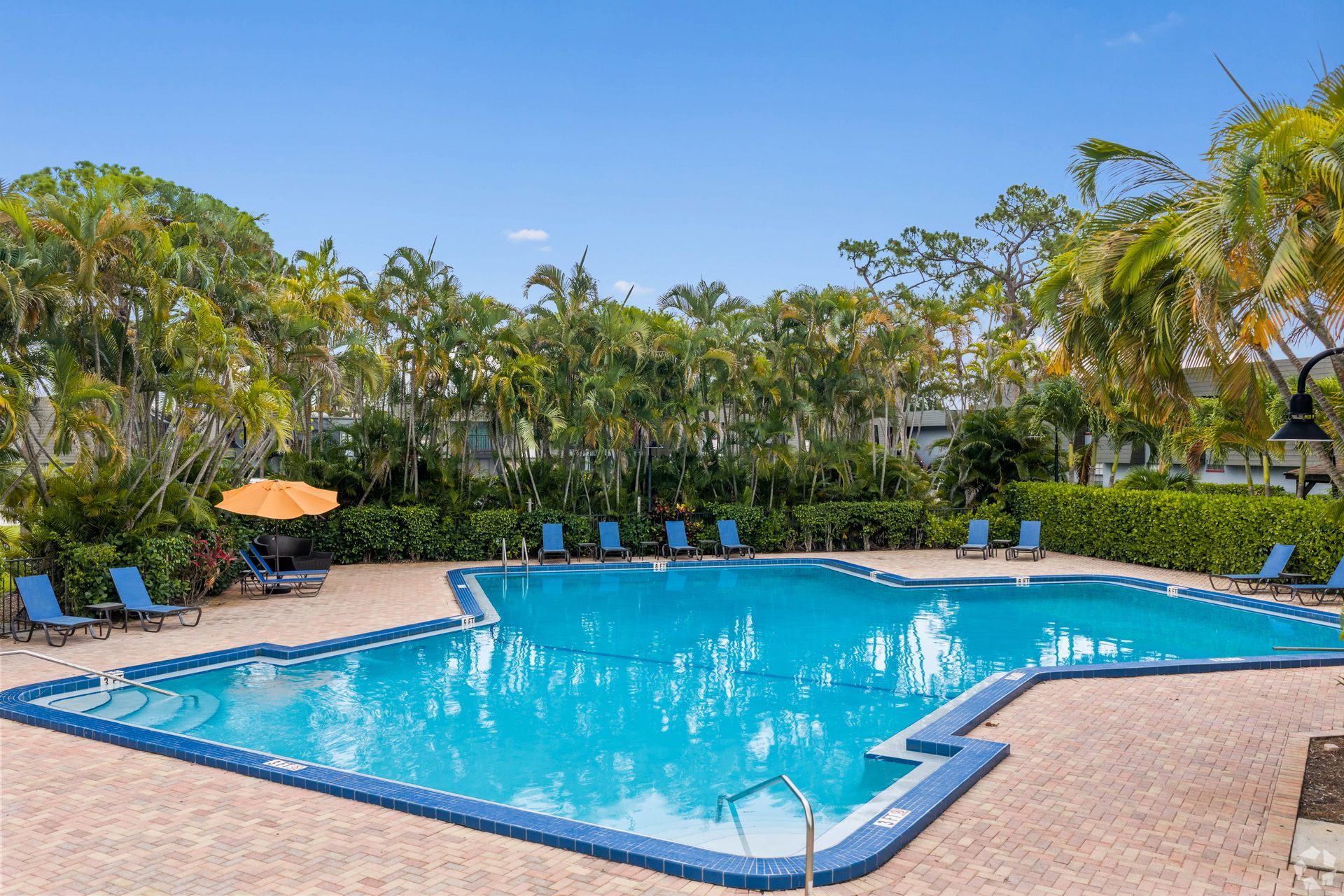 Outdoor resort pool with blue water, palm trees, lounge chairs, and orange umbrellas under a clear sky at 4120 at Palm Beach Gardens Apartments in FL