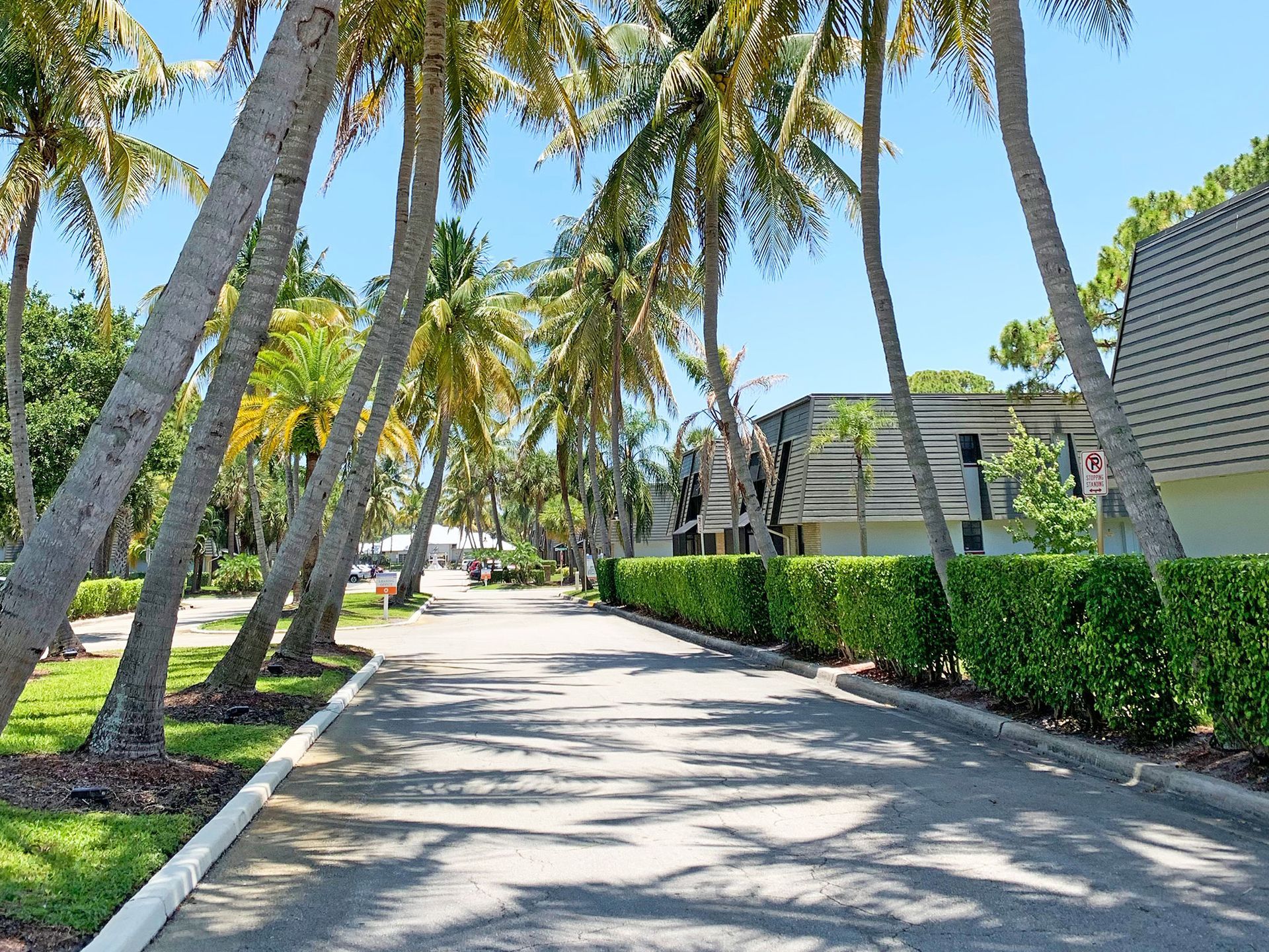 Palm-lined sunny resort road with hedges and buildings under a clear blue sky, 4120 at Palm Beach Gardens Apartments