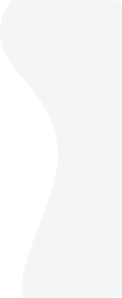 Abstract, light gray curved shape against a white background.