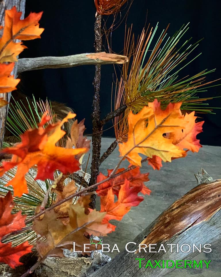 A close up of a tree branch with leaves on it.