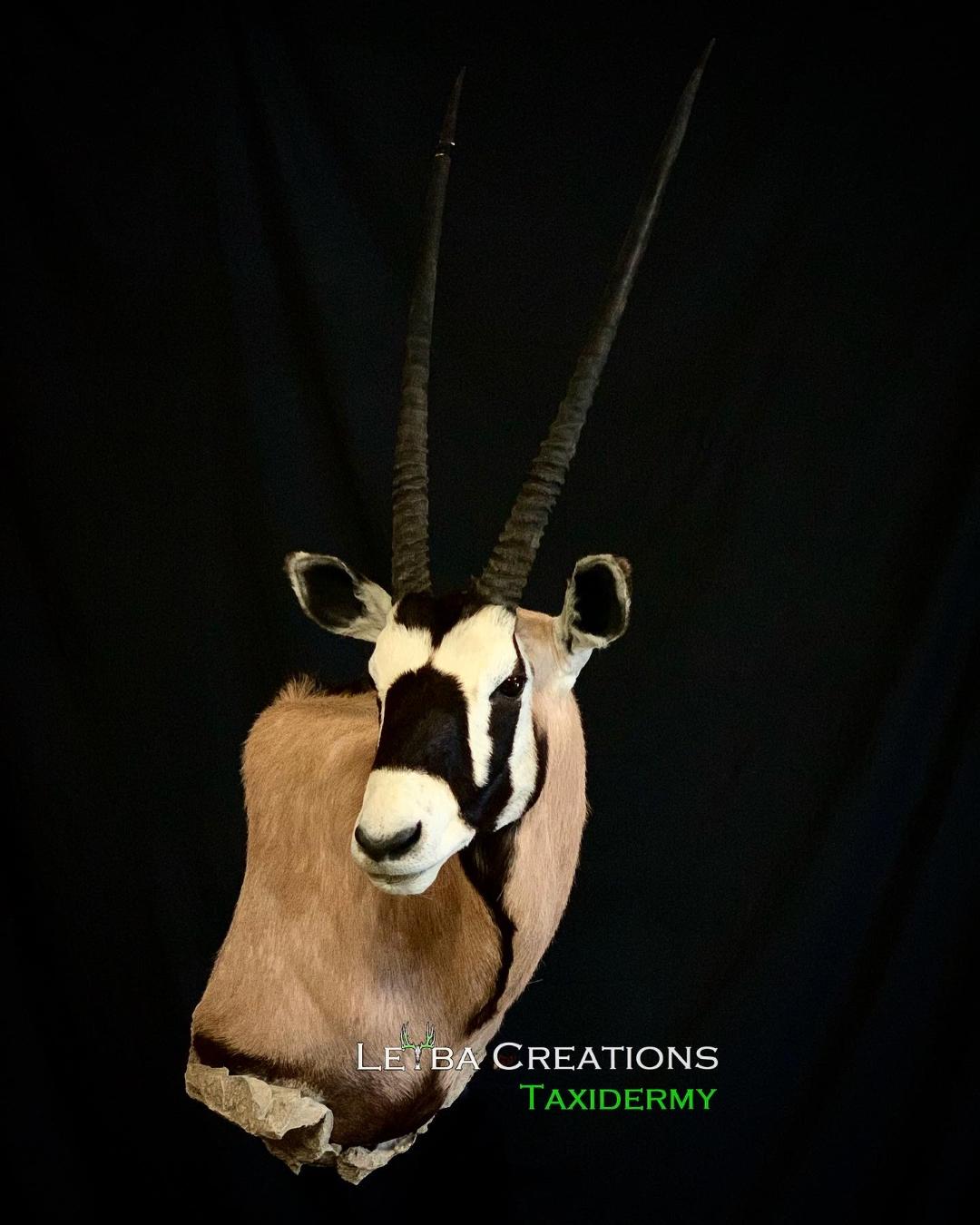 A black and white antelope head with long horns on a black background.