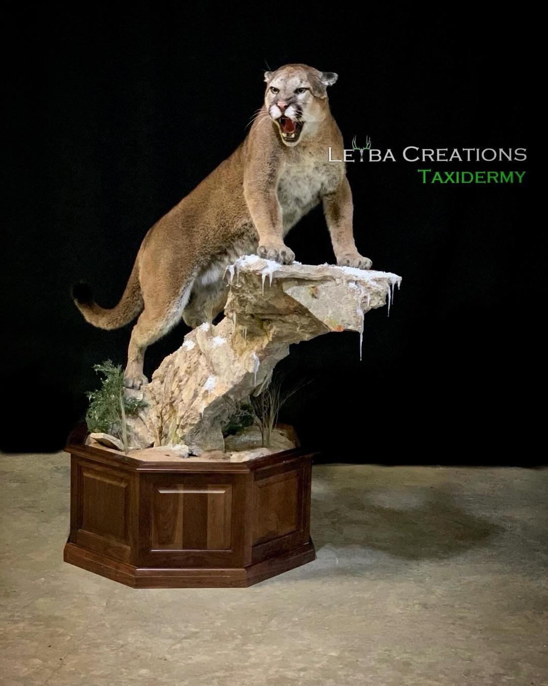 A stuffed mountain lion is standing on top of a rock.