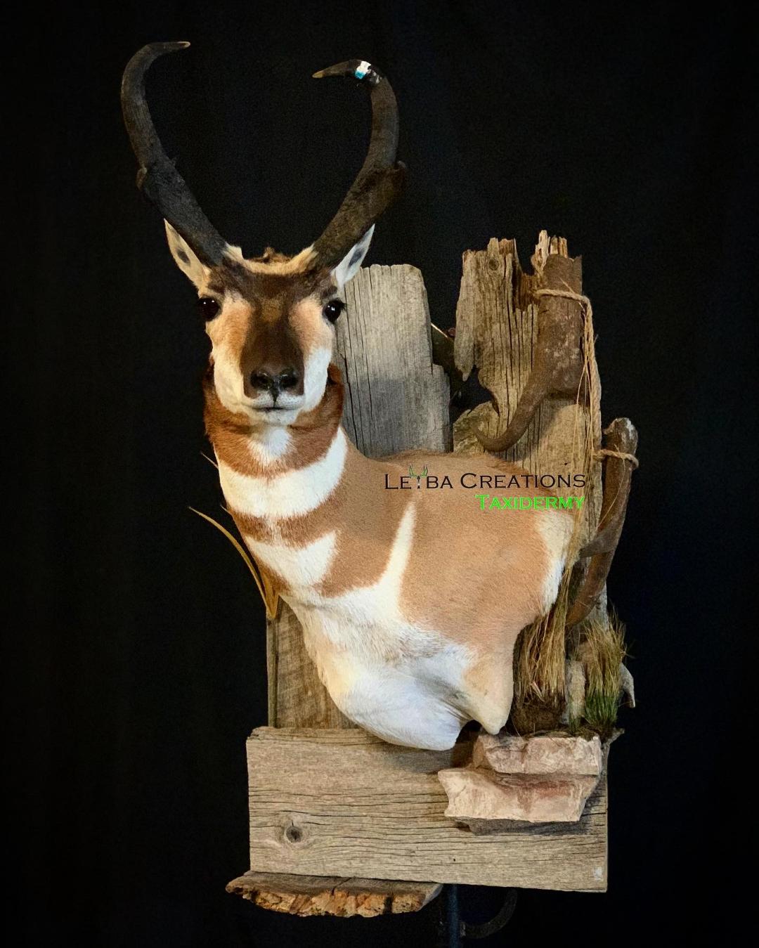 A stuffed antelope is sitting on a piece of wood.