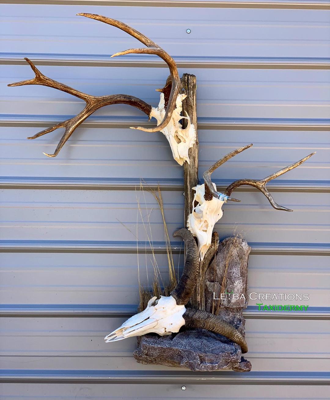 A deer skull is hanging on a metal wall.