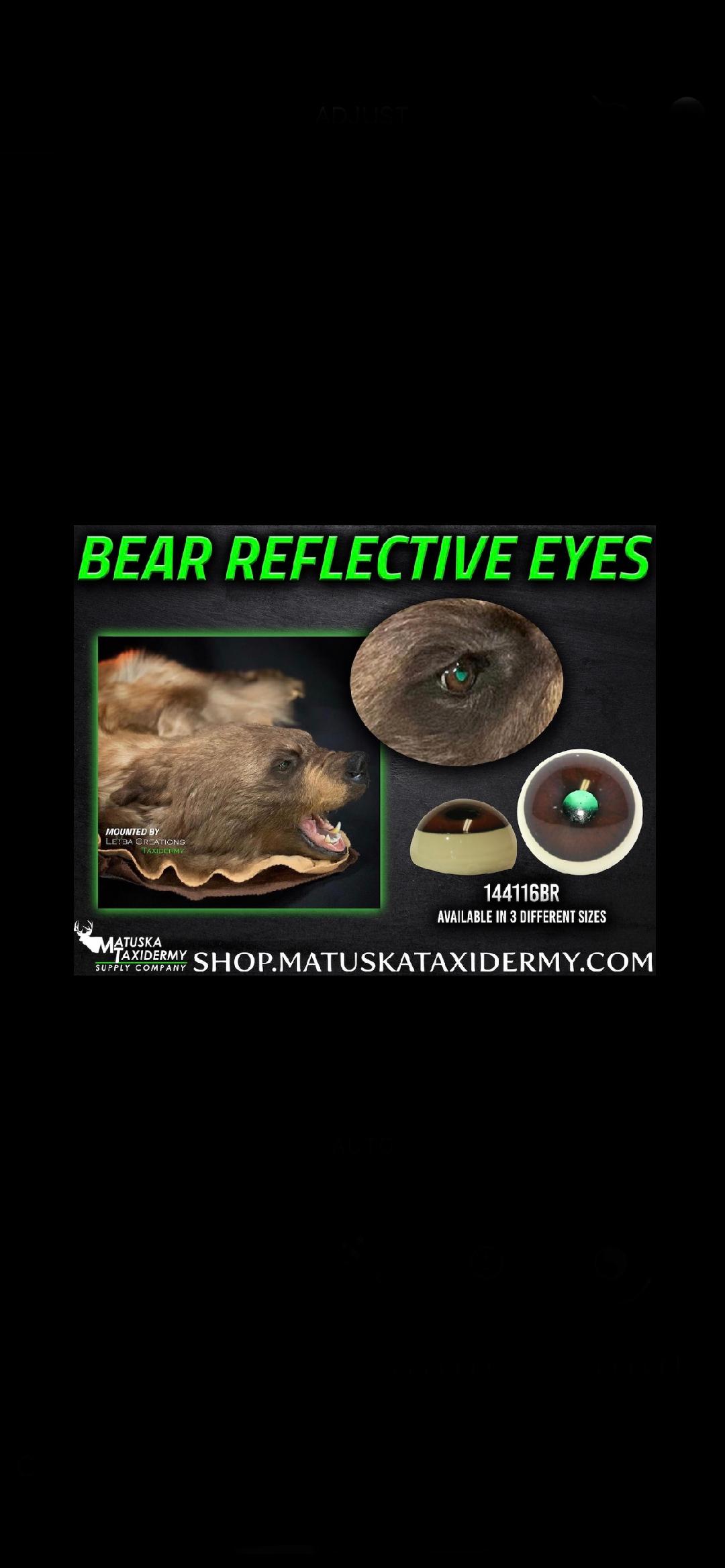 A picture of a bear reflective eyes on a black background.