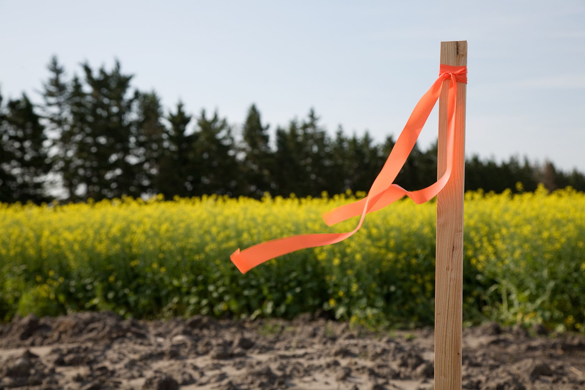 Lot staking – Gig Harbor, WA – Aspen Land Surveying