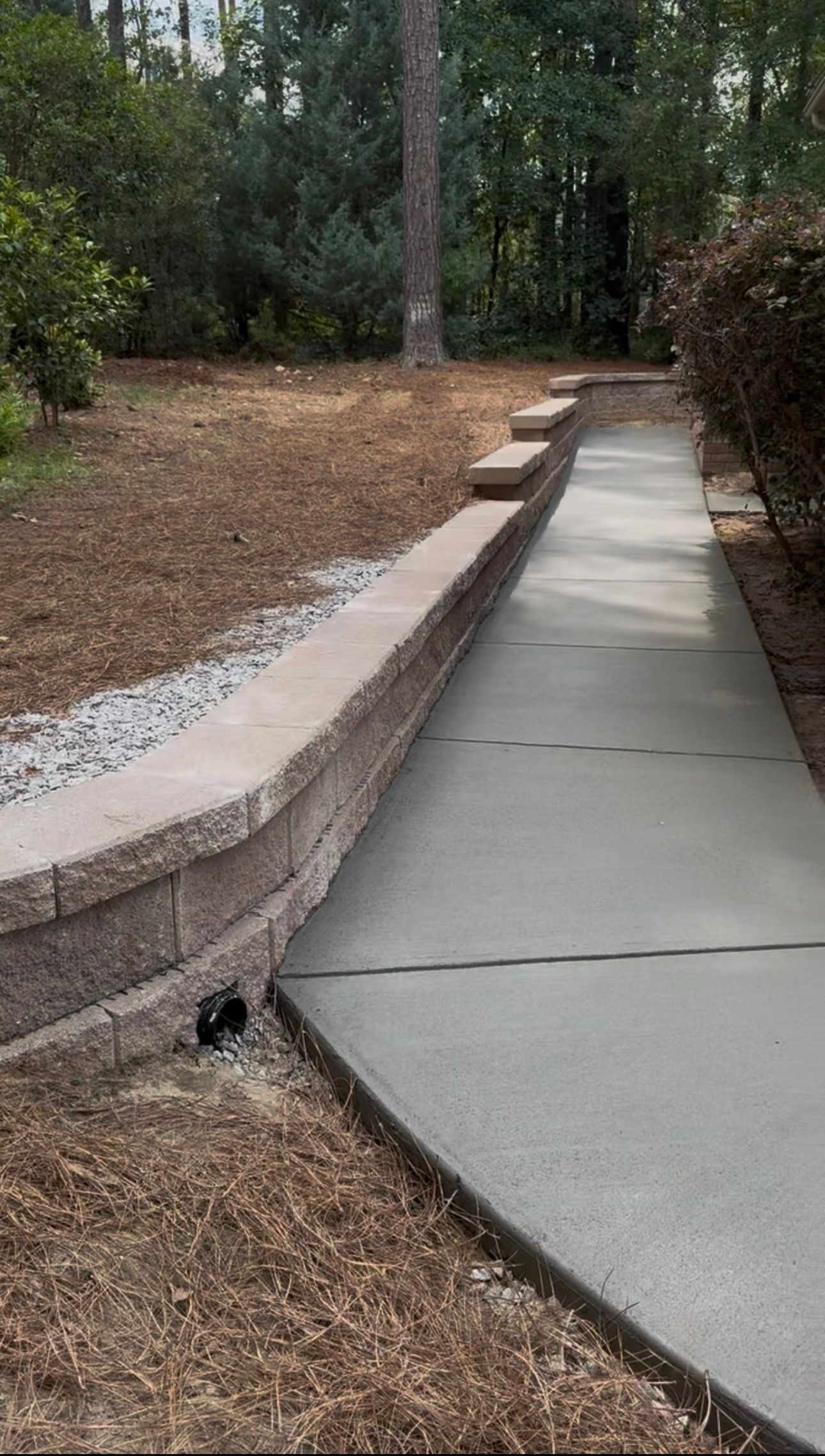 Concrete steps with metal handrails leading to a building entrance. A person is near the glass doors.