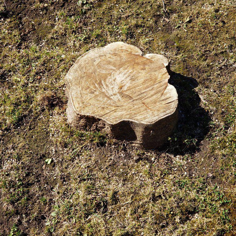 We removed ugly and unsafe tree stumps from your property