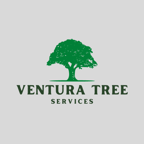 Ventura Tree Services logo