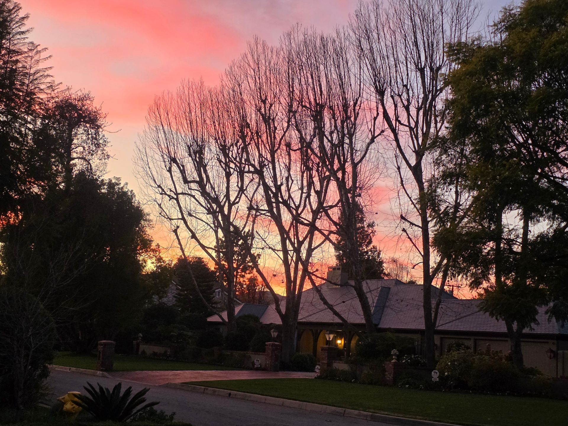 Sunset over a house with tall, bare trees silhouetted against a pink and orange sky.