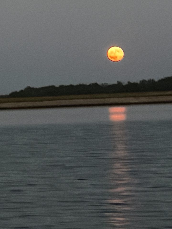 Orange moon over calm water at dusk, with its reflection shimmering on the surface.