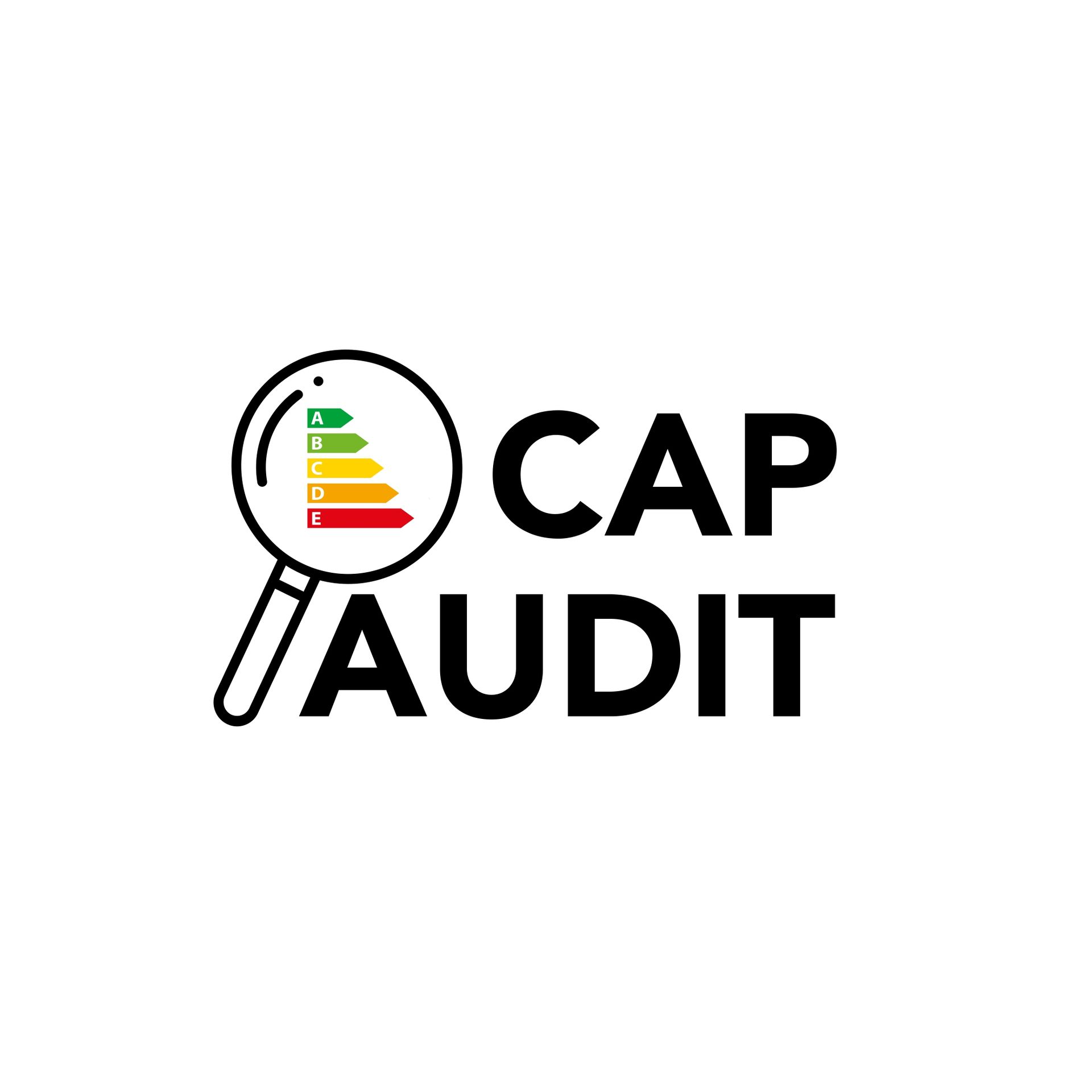 Logo de la société CAP AUDIT présent dans toutes les régions du Grand EST et Bourgogne Franche Compte