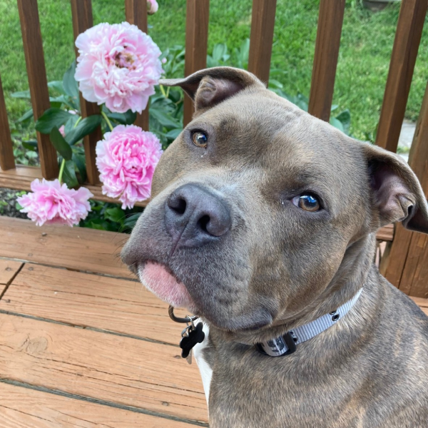 Handsome