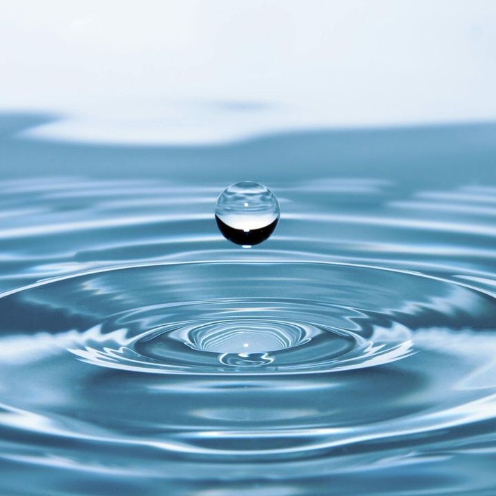 Rainbow Bridge Aquamation Services