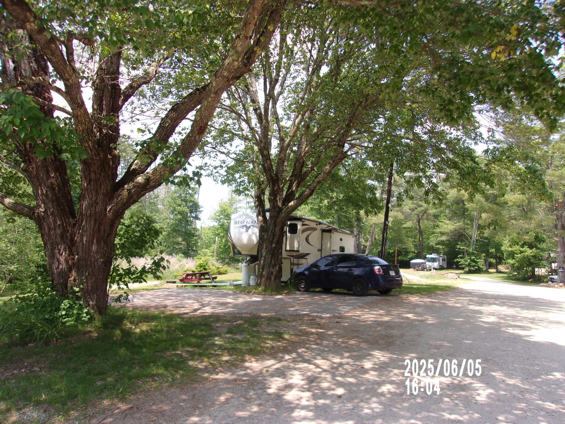 Large tree shading a parked black car beside a small house on a sunny dirt road.
