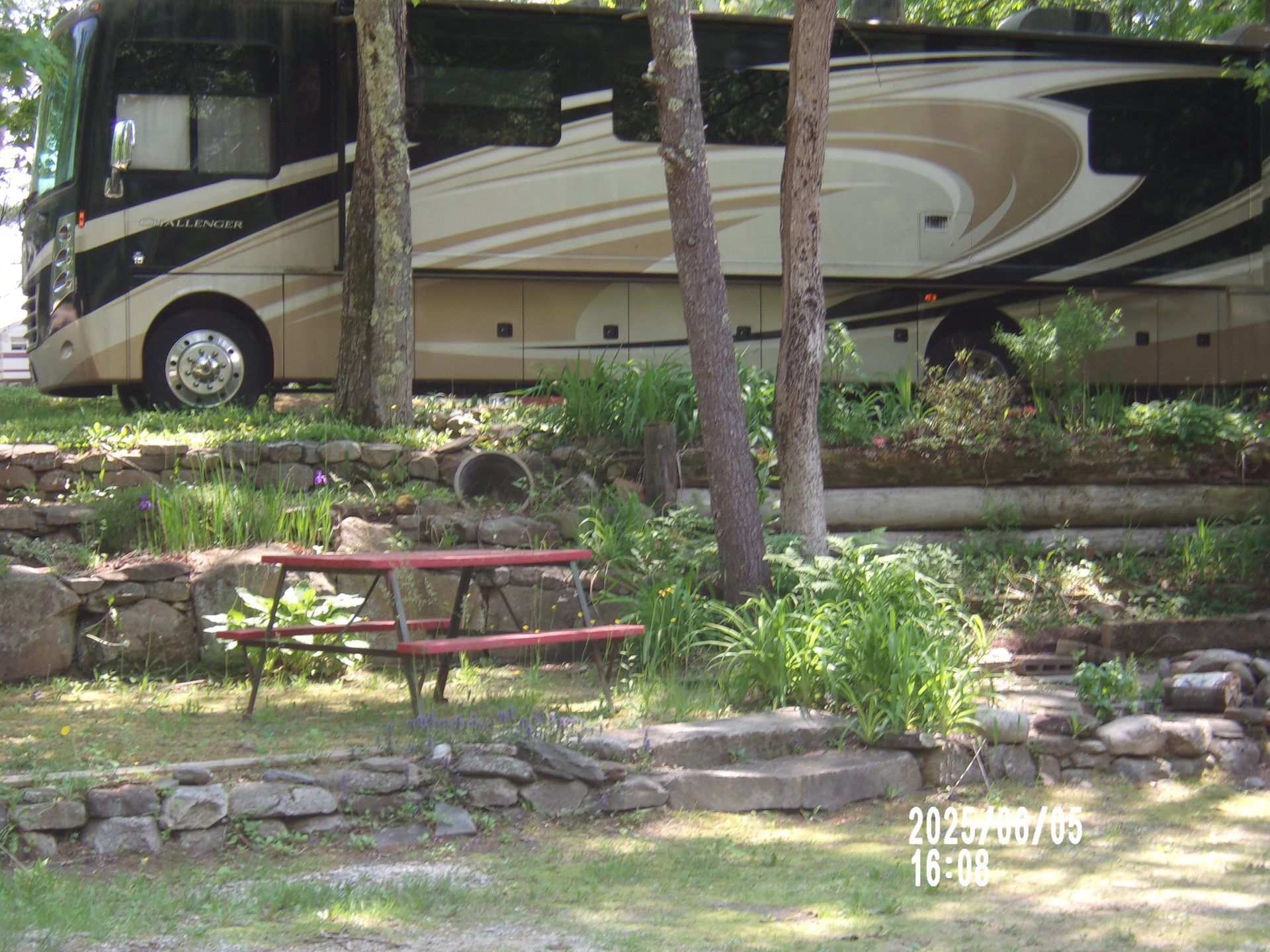 Large beige and black RV parked among trees beside a picnic table in a wooded campground.