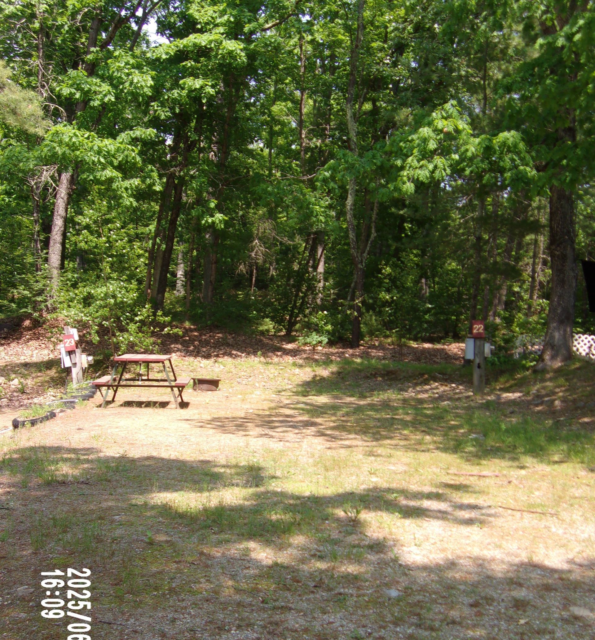 Wooded park clearing with a picnic table, a small sign, and grassy ground in sunlight