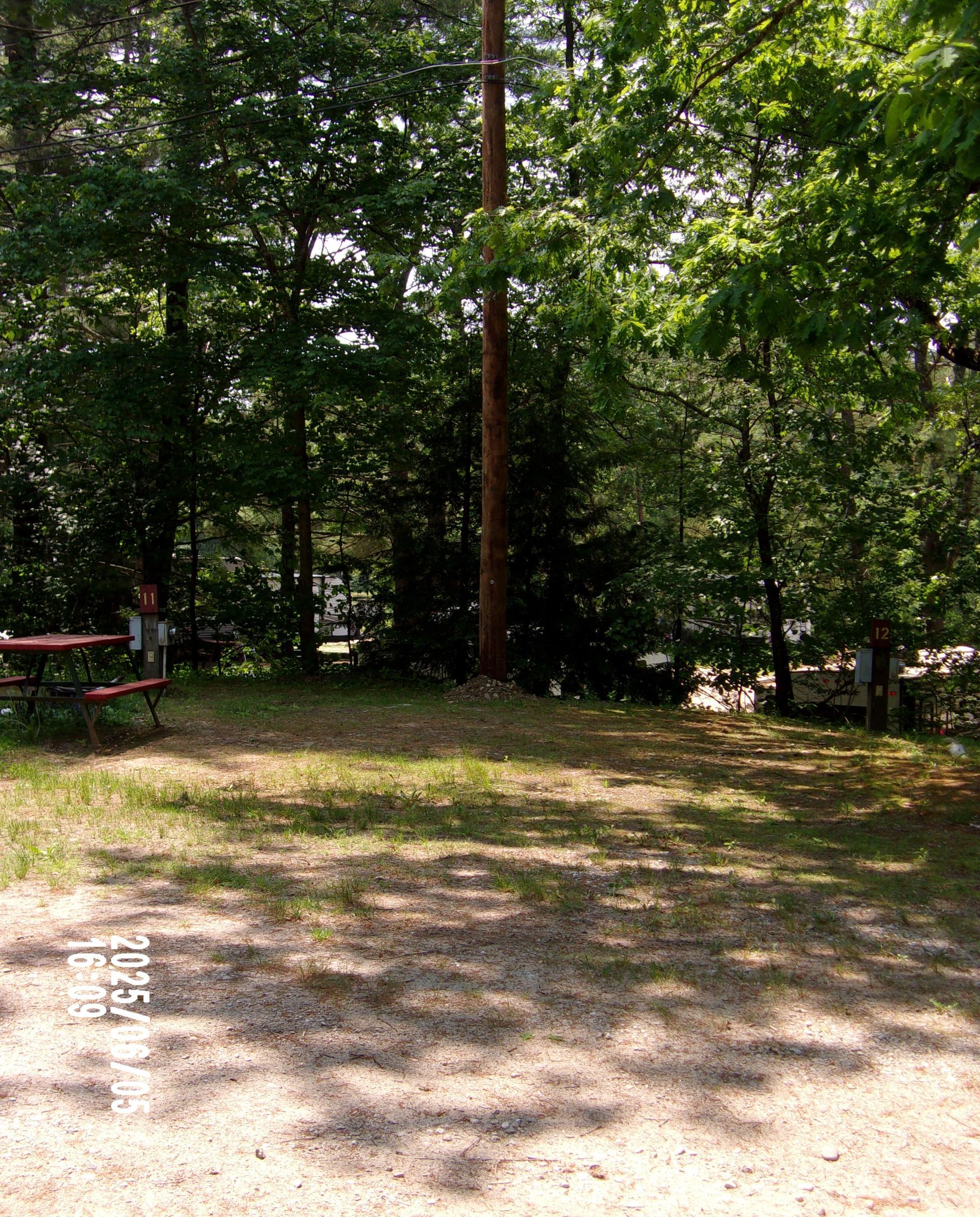 Shaded park clearing with trees, a utility pole, and a dirt path in the foreground.