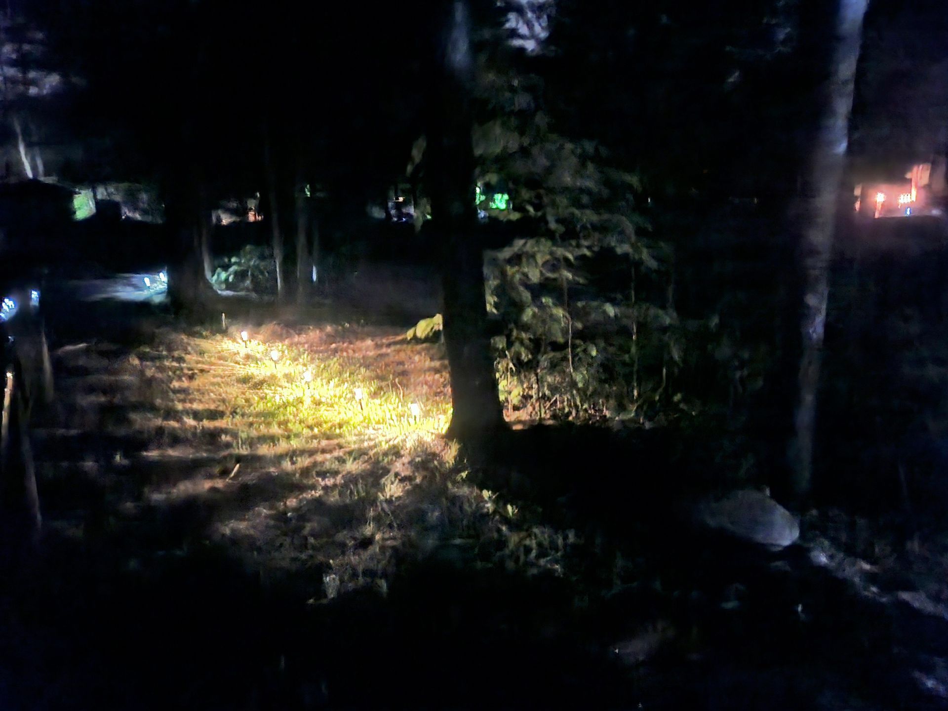 Dark wooded path lit by a flashlight beam at night, with trees and a parked car in the background