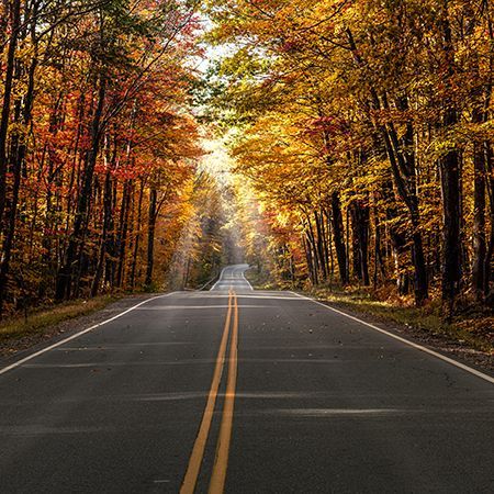 Two-lane road through a forest of autumn trees with sunlight streaming ahead
