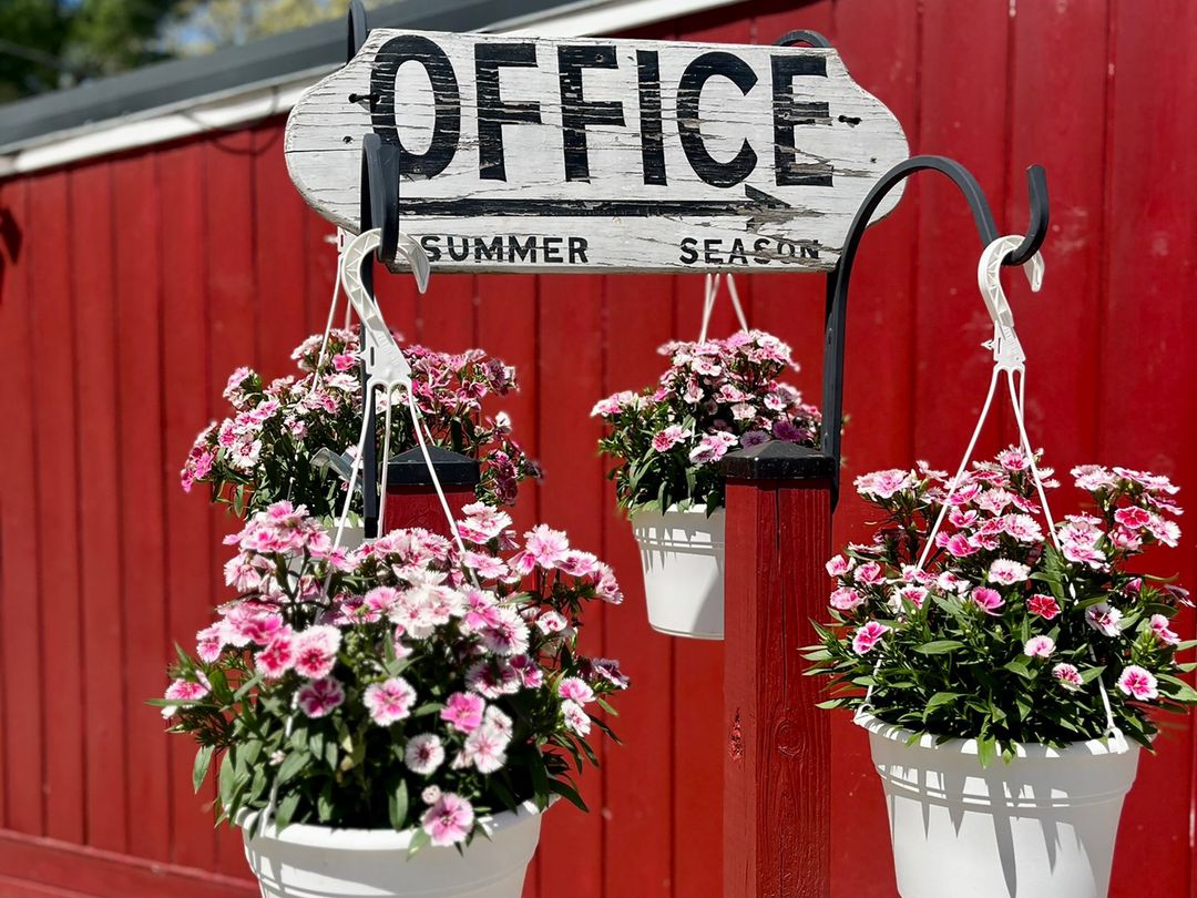 White hanging flower baskets in front of a red office building sign