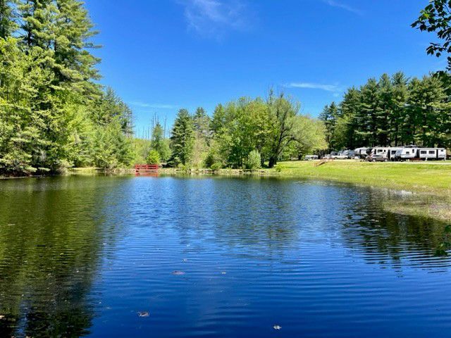 Sunny pond with rippling blue water, green trees, and a white RV park in the background
