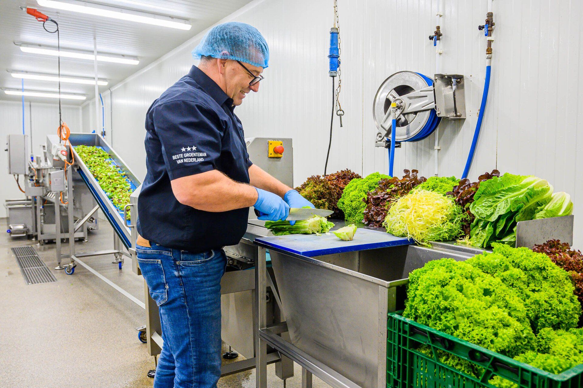 Een man snijdt sla in een fabriek.