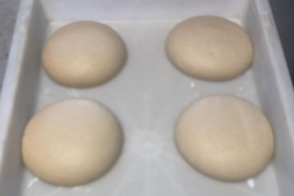 Fresh Ingredients — New Castle, PA — Four Star Pizza & Fresh Baked Subs