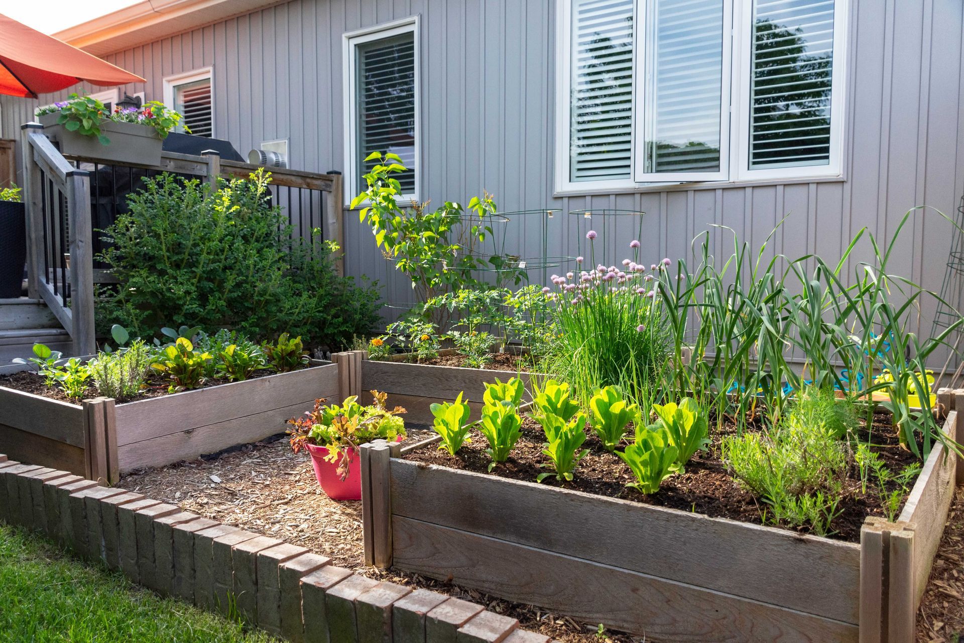 a garden with lots of plants and flowers in front of a house