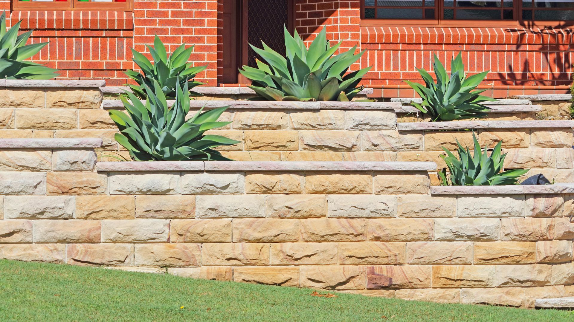 a brick wall with a few plants on it
