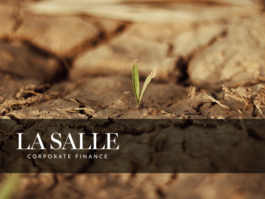 Small green sprout emerging from cracked dry soil, with “La Salle Corporate Finance” text overlay.