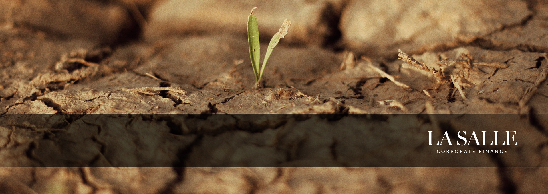 Small green sprout growing from cracked dry soil with a dark banner and “LA SALLE” text on the right