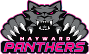 Logo for league