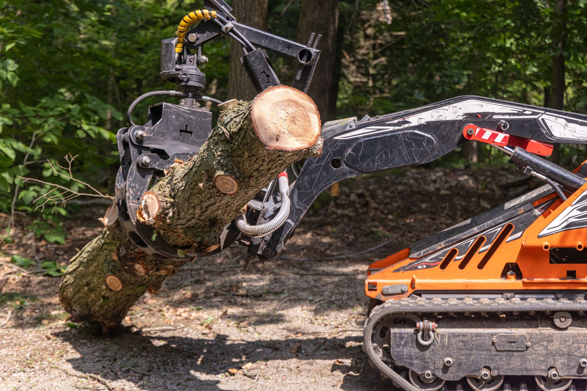 Orange forestry robot with black arm holding a cut log in a wooded area.