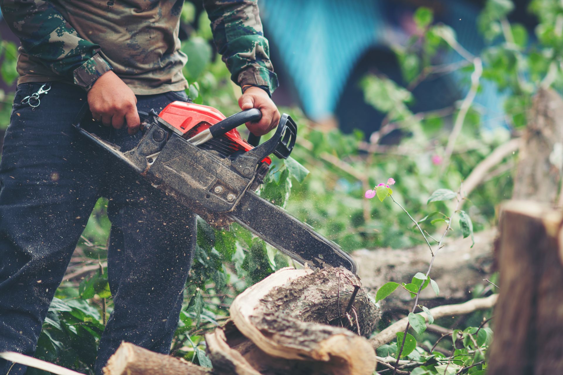Person using a chainsaw to cut a log in a wooded area.