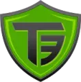 T3 Payment Systems  logo