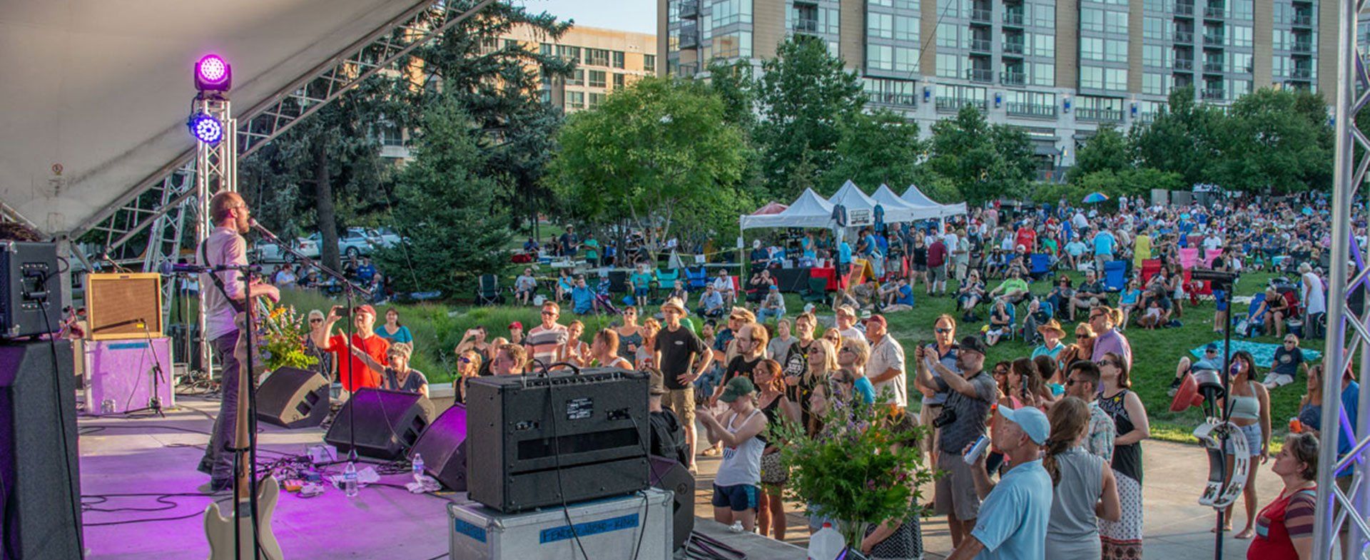 A large crowd of people are gathered at a concert in a park.