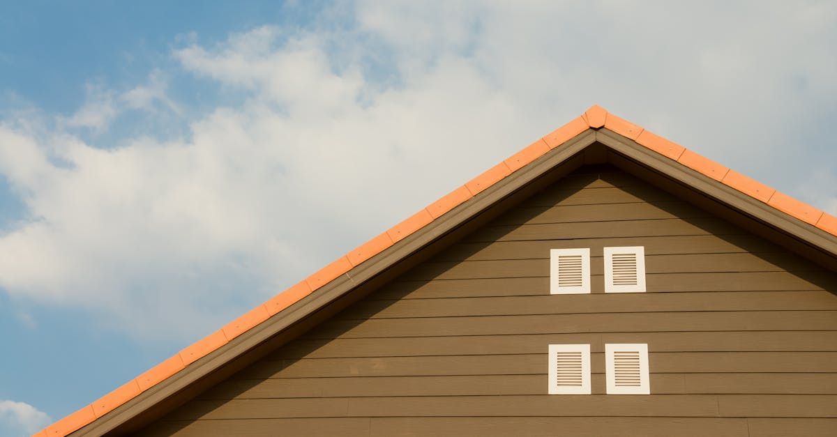 The roof of a house with two windows on it