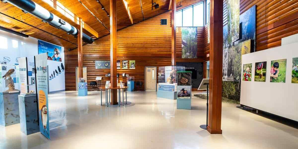 Interior of a wooden museum gallery with exhibit panels and displays on a polished floor