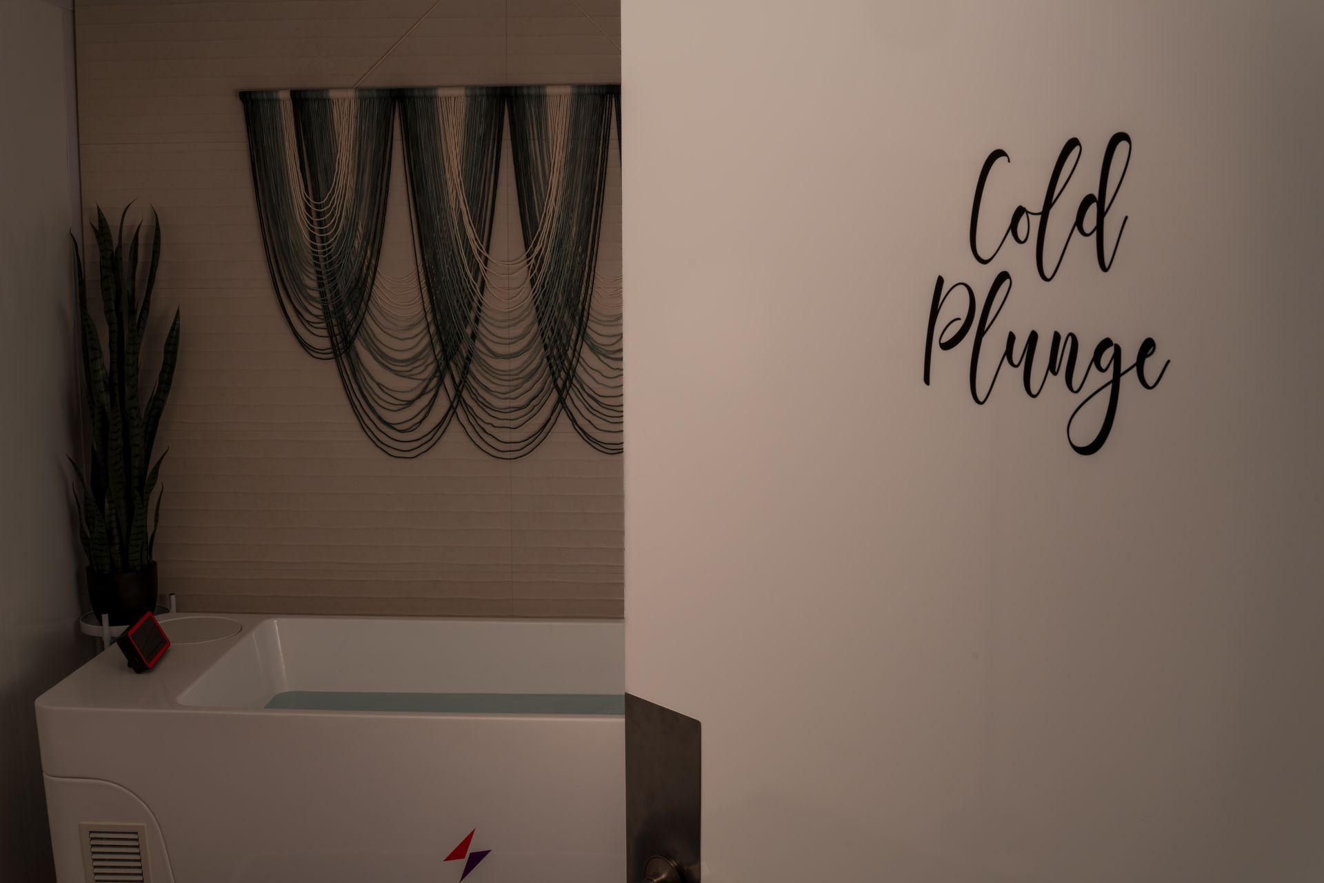 Indoor cold plunge tub with hanging greenery and “cold plunge” wall text