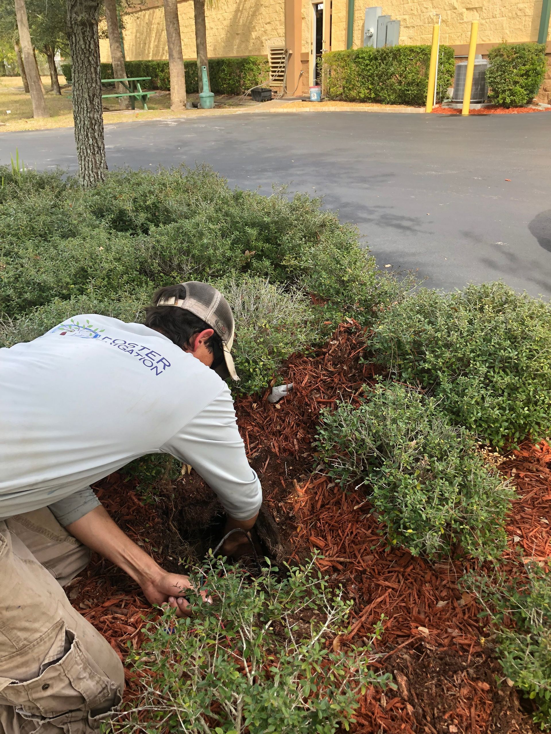A man is kneeling down in a garden and planting a tree.