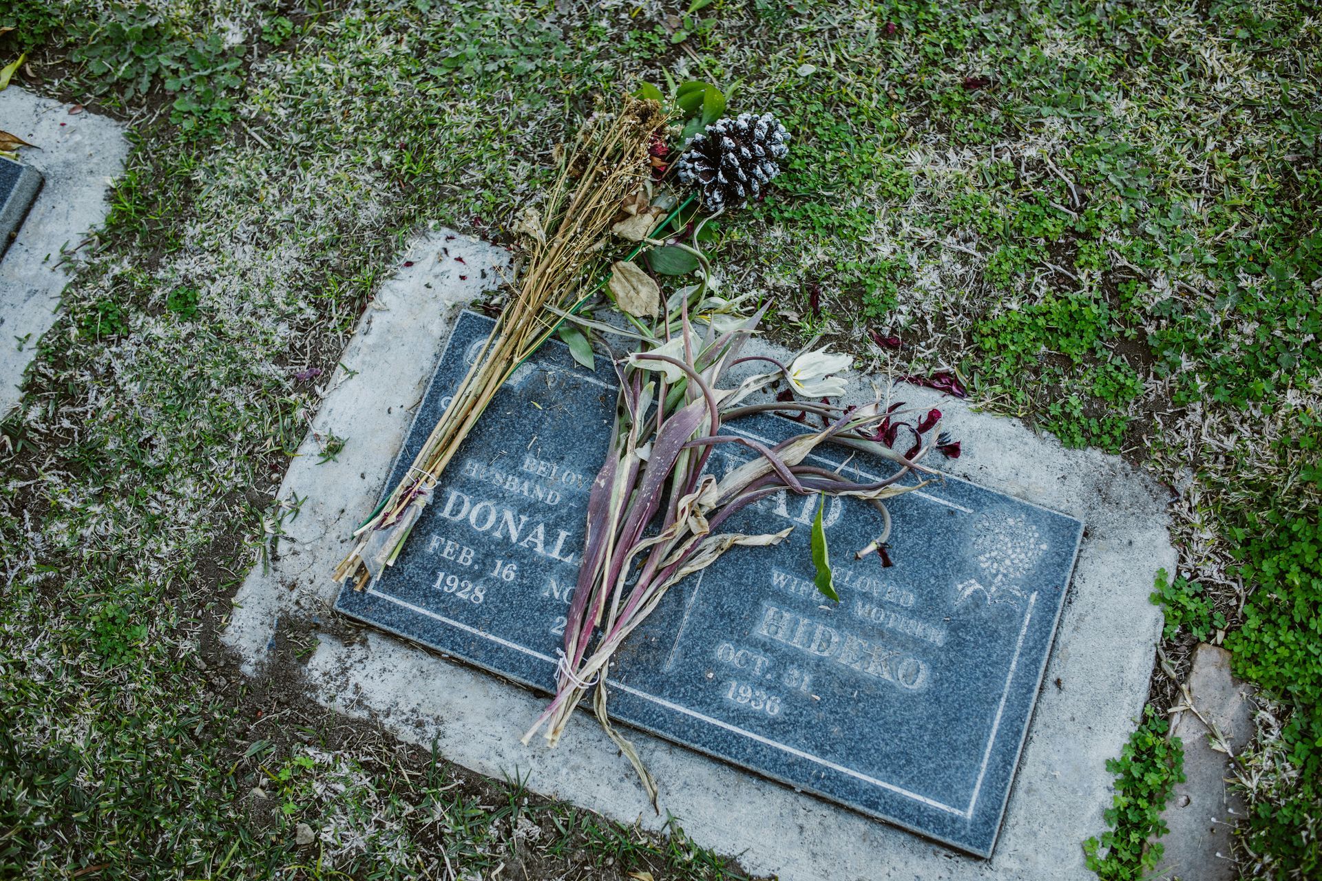 lons-memorials-gallery-image