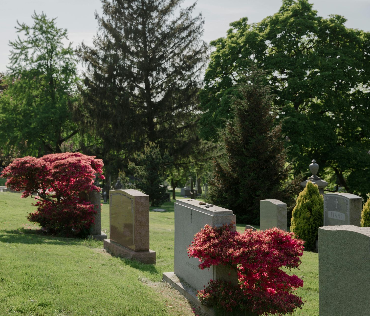 lons-memorials-faq