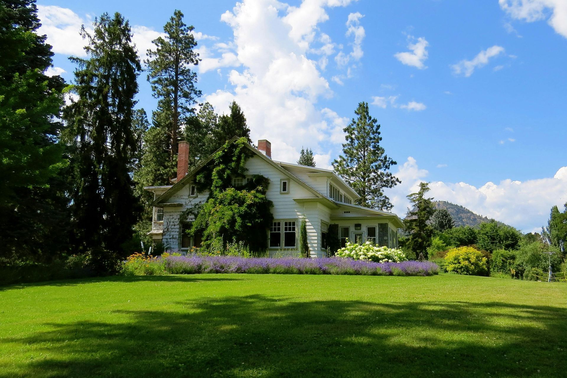 A large white house sits in the middle of a lush green field