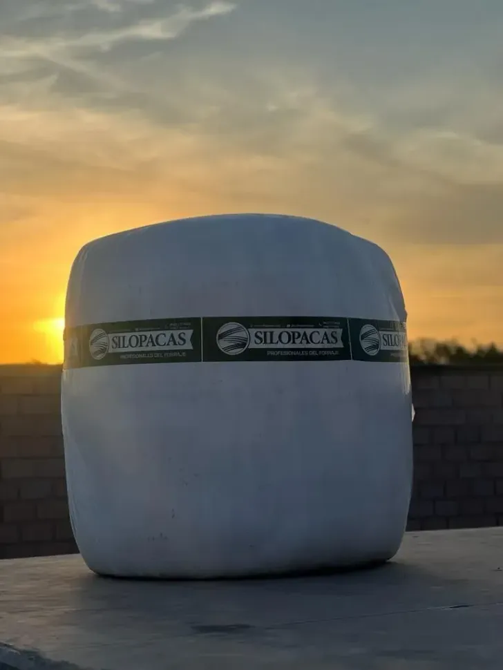 Forraje tecnificado Silopacas listo para distribución