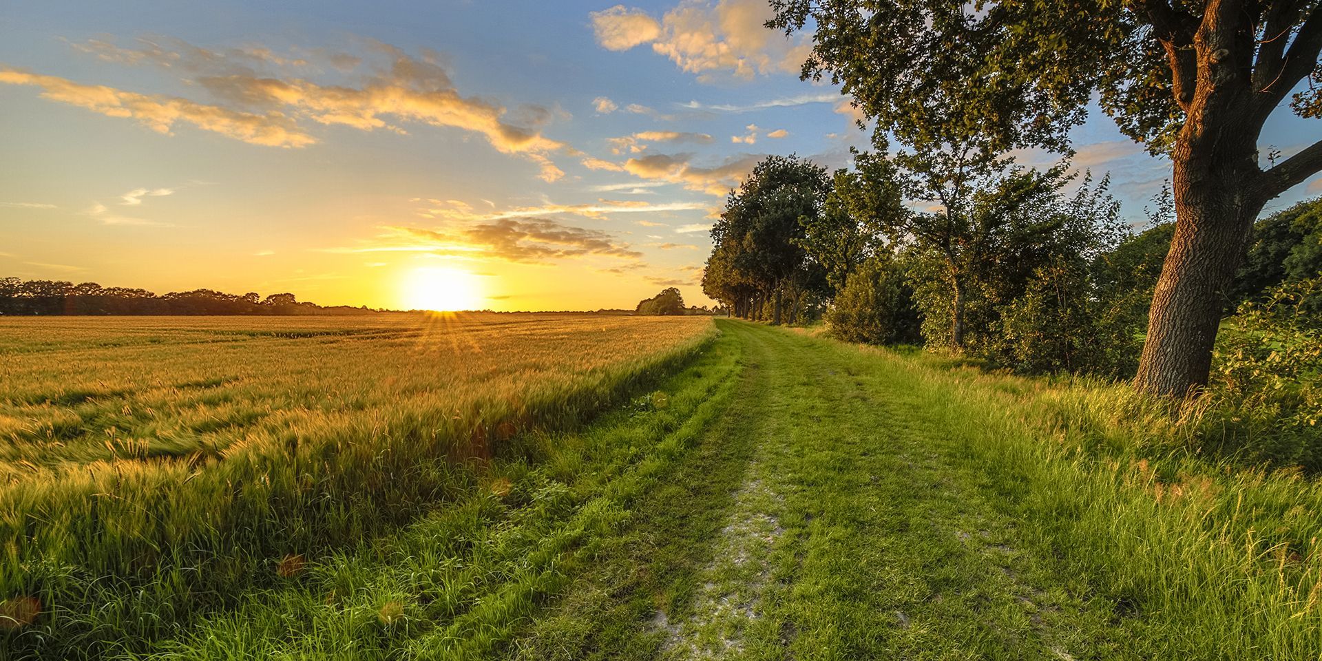 field near Veedersburg, IN