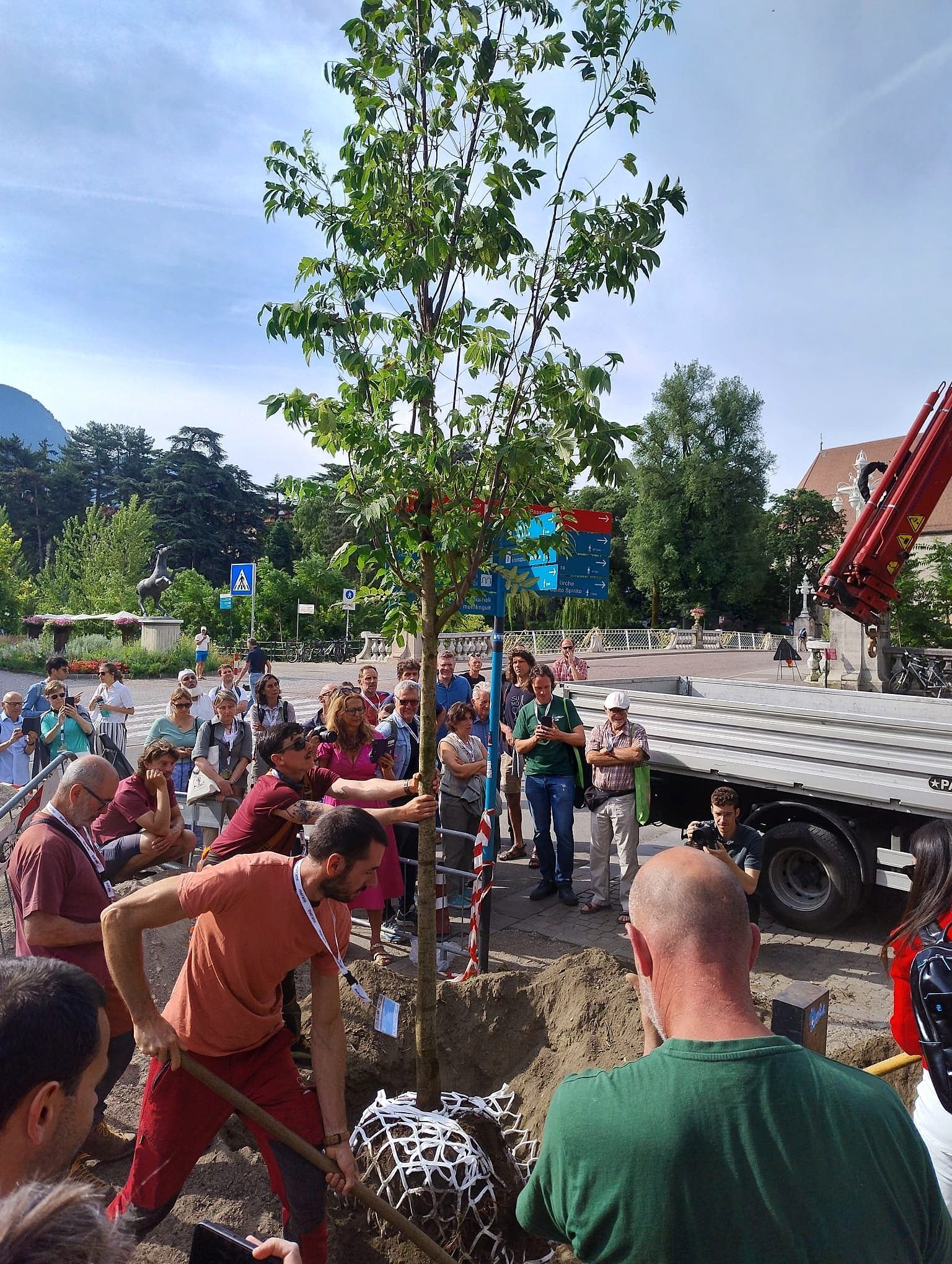 Persone che piantano un albero all'aperto sotto gli occhi della folla, vicino a un camion, in una giornata di sole.