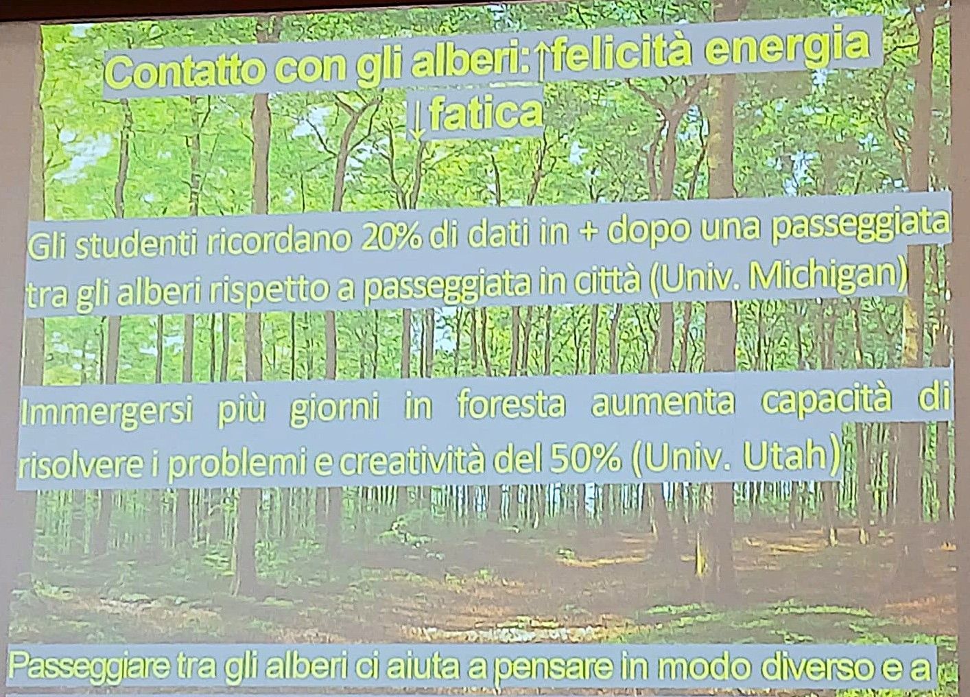 Una diapositiva con testo su uno sfondo di foresta. Il testo descrive i benefici del contatto con gli alberi, tra cui miglioramento della memoria, della capacità di problem solving e della creatività.